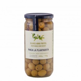 Manzanilla Olives Plantadeta 500gr